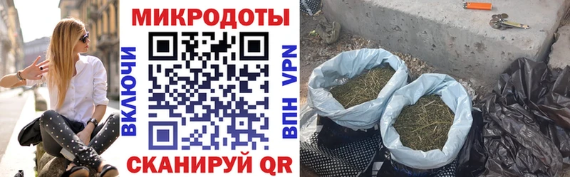 Галлюциногенные грибы GOLDEN TEACHER  Купить закладки  Калтан 